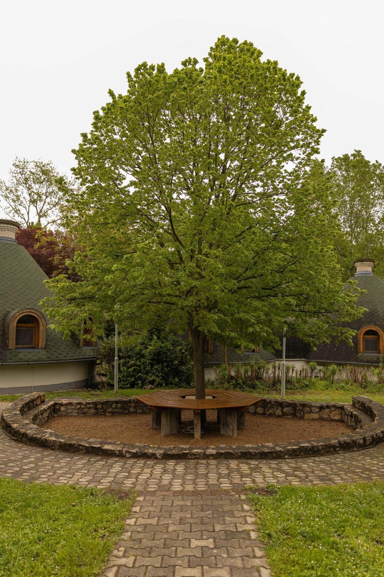 Gesztenye Nyaralópark Balatonudvari Exterior foto
